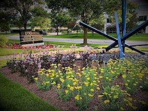 Garden with flowers